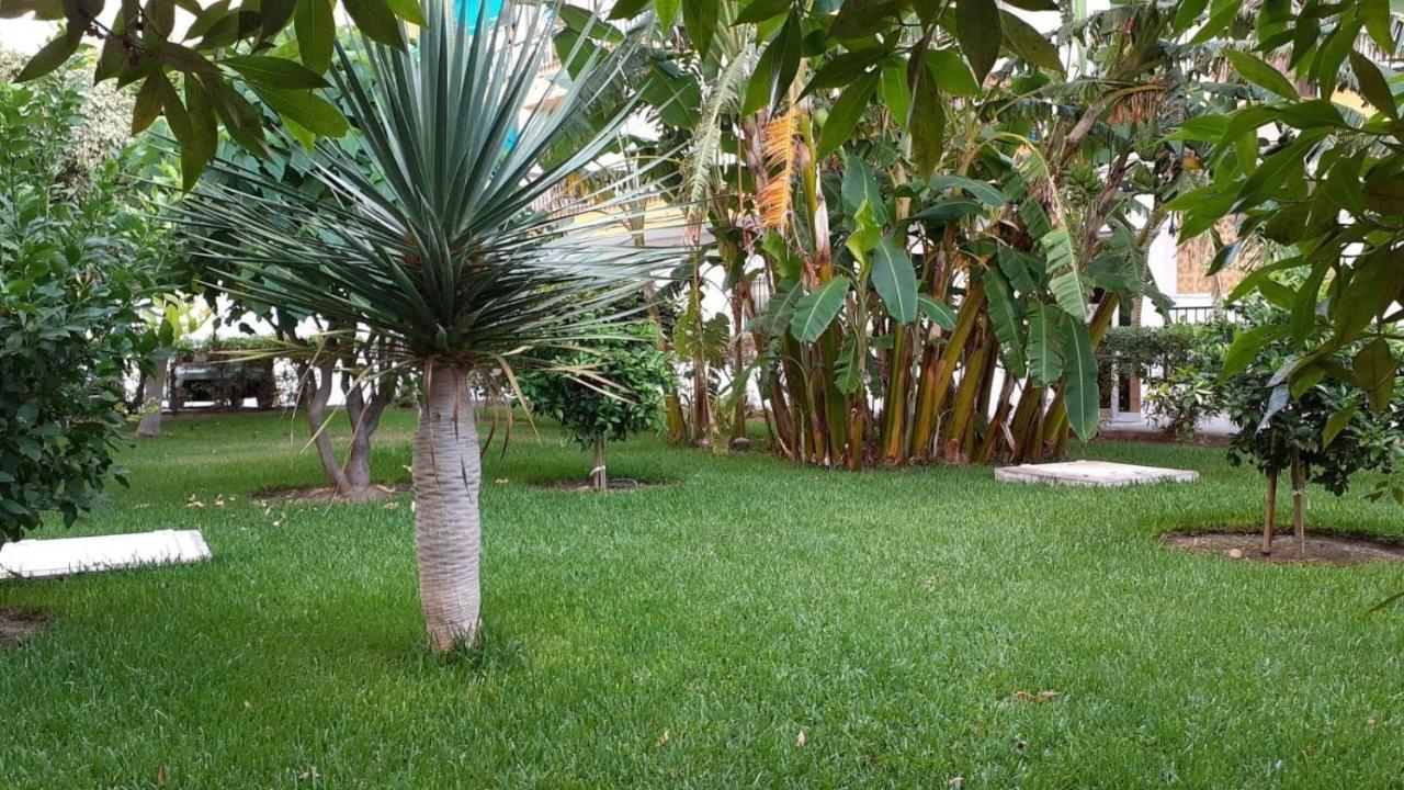 Rincon Mediterraneo 네르하 외부 사진